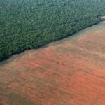 Deforestazione in aumento in Amazzonia