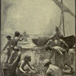 Mt 13-44-52 – XVII Domenica TO – A