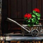 Software per il cuore